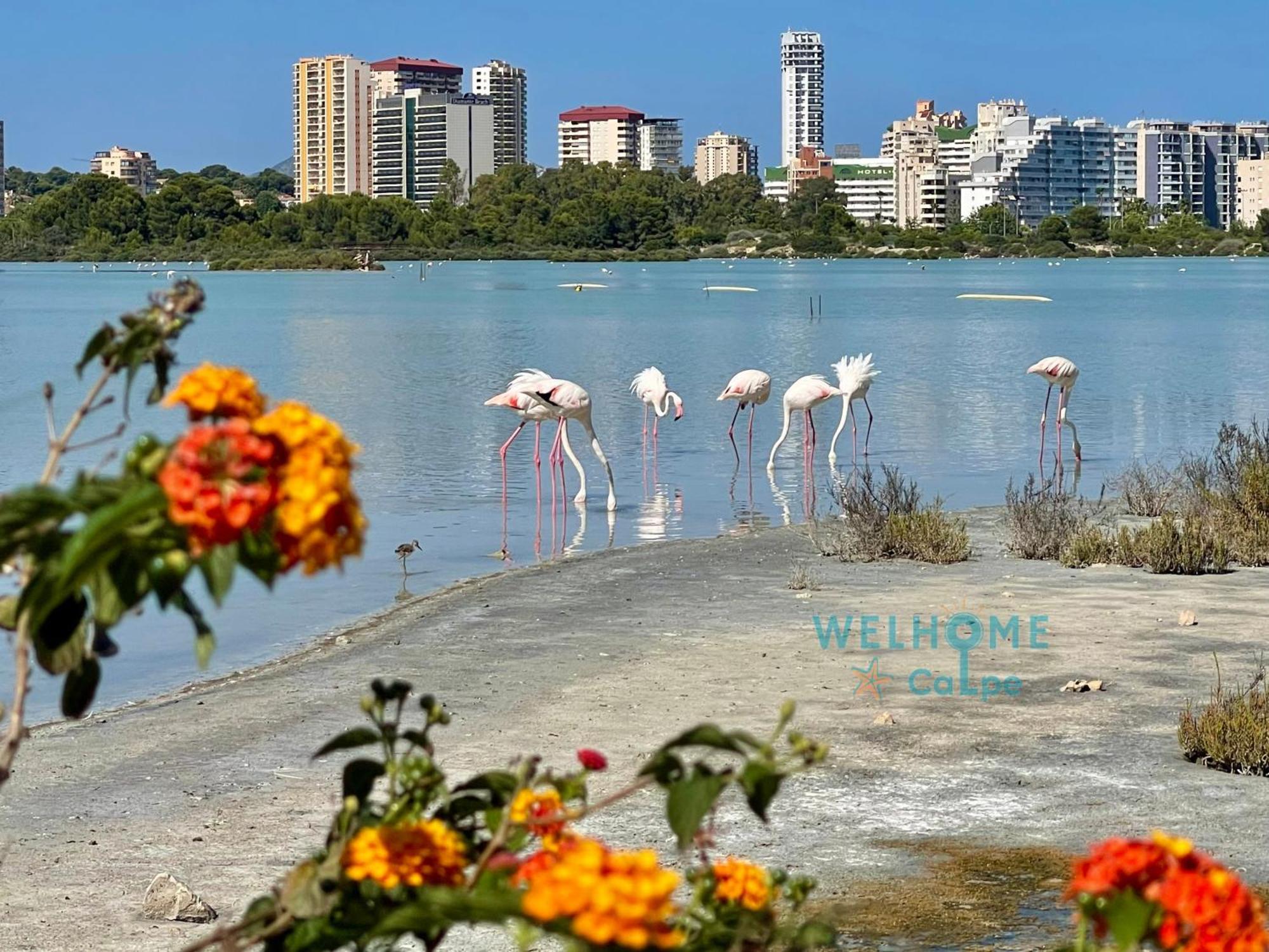 Orquidea Comodo Apartamento: Vista Al Mar, Piscina, Parking กัลเป ภายนอก รูปภาพ
